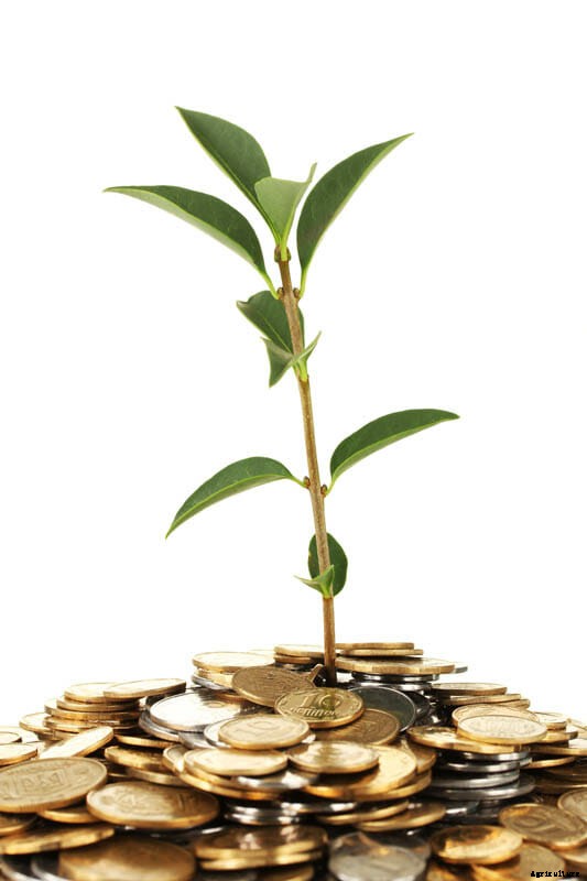 27 Pictures of Plants Growing Out of a Pile of Coins