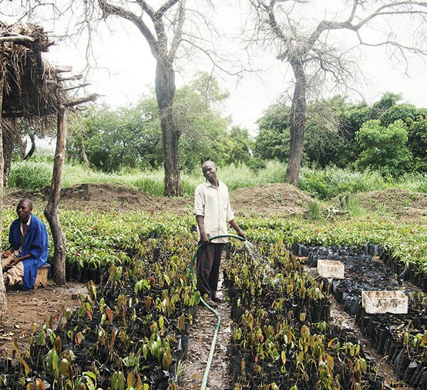 From Malawi to McDonald’s
