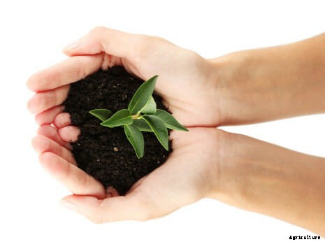 21 Pictures of Hands Gently Cupping Dirt