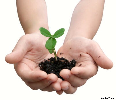 21 Pictures of Hands Gently Cupping Dirt