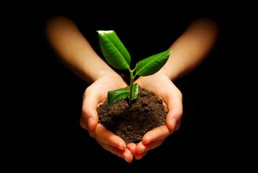 21 Pictures of Hands Gently Cupping Dirt