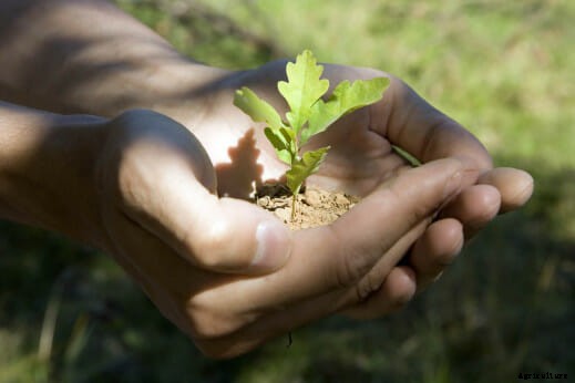 21 Pictures of Hands Gently Cupping Dirt
