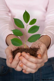 21 Pictures of Hands Gently Cupping Dirt