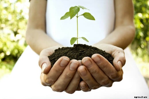 21 Pictures of Hands Gently Cupping Dirt