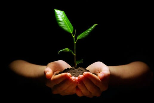 21 Pictures of Hands Gently Cupping Dirt