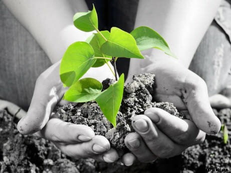 21 Pictures of Hands Gently Cupping Dirt