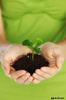 21 Pictures of Hands Gently Cupping Dirt