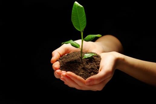 21 Pictures of Hands Gently Cupping Dirt