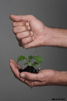 21 Pictures of Hands Gently Cupping Dirt