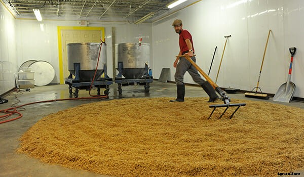 Meet the Micro-Malts