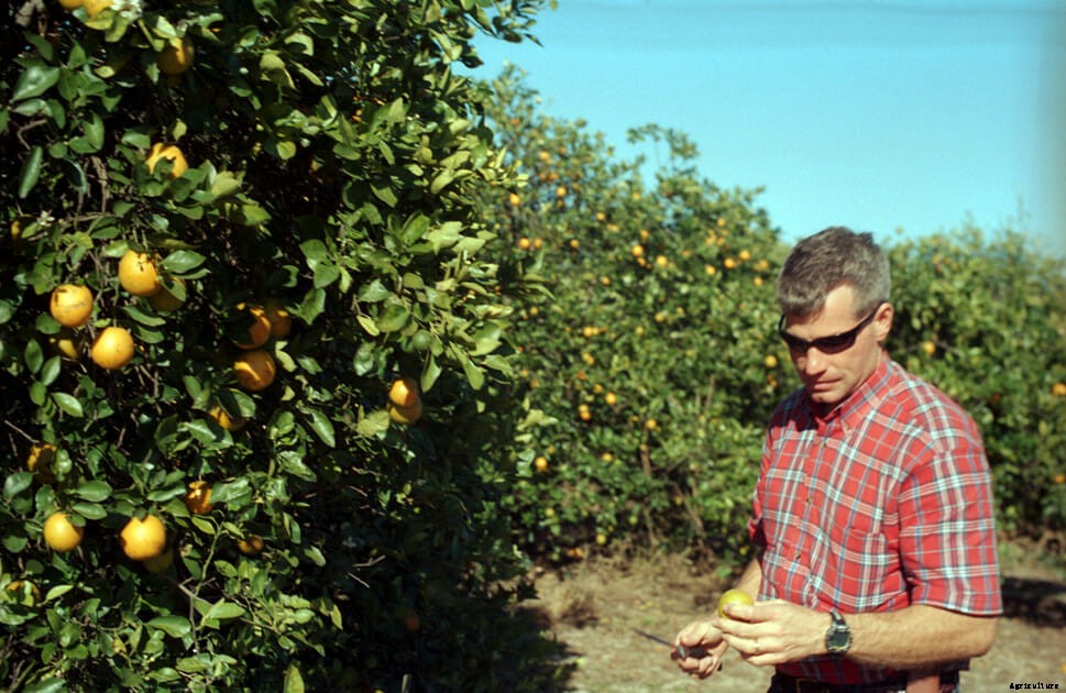 Searching for OJ’s Killer