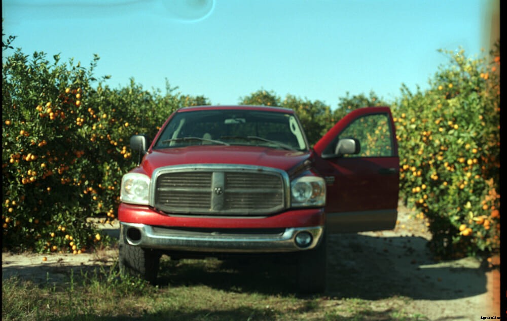 Searching for OJ’s Killer