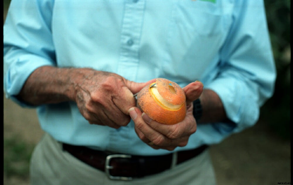 Searching for OJ’s Killer