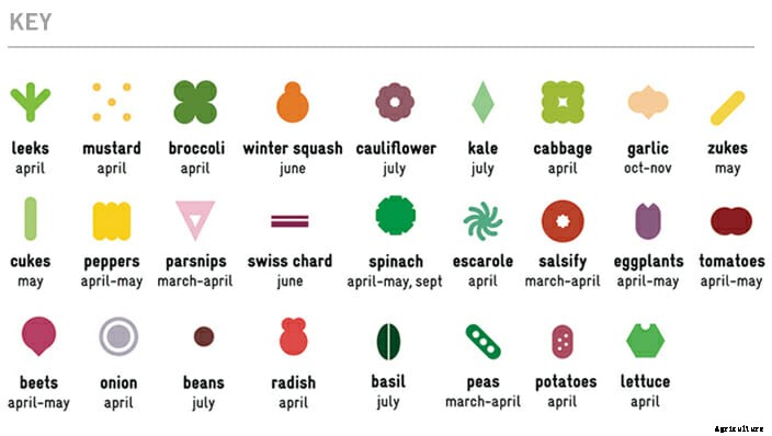 How To Turn Your Backyard into a Four-Season Farm