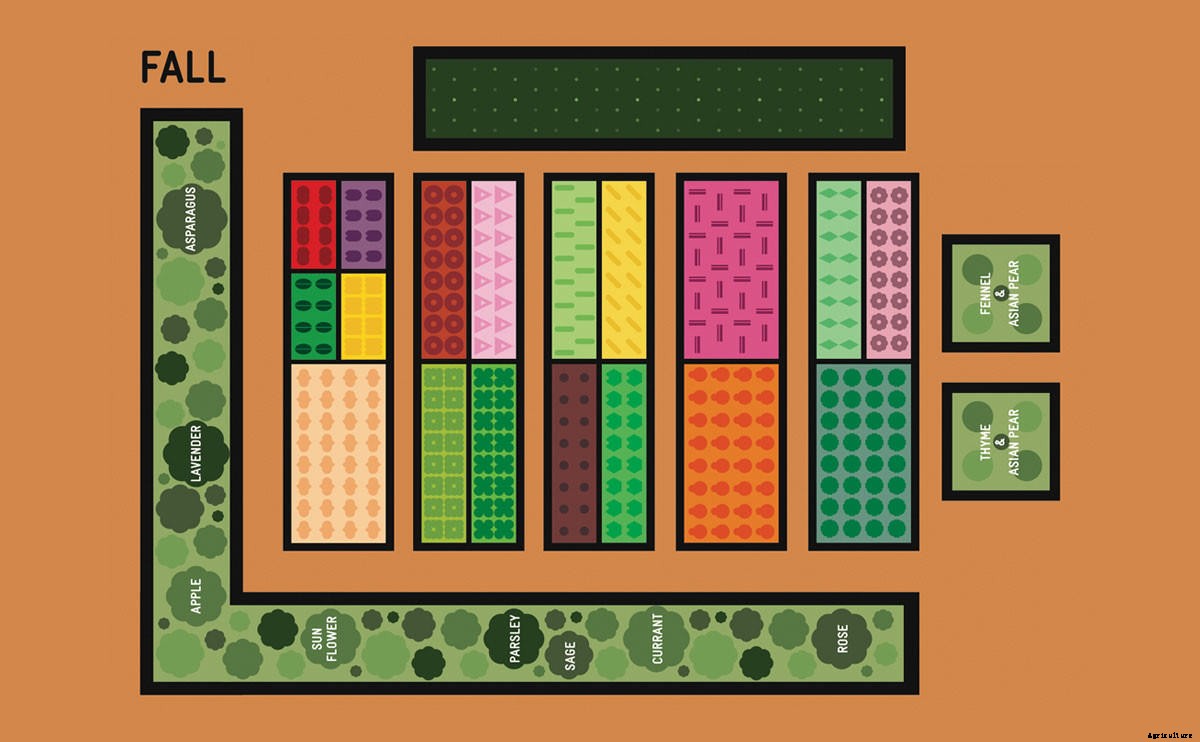 How To Turn Your Backyard into a Four-Season Farm