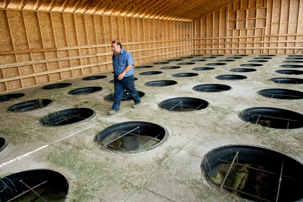 The Future of Hay Drying in America