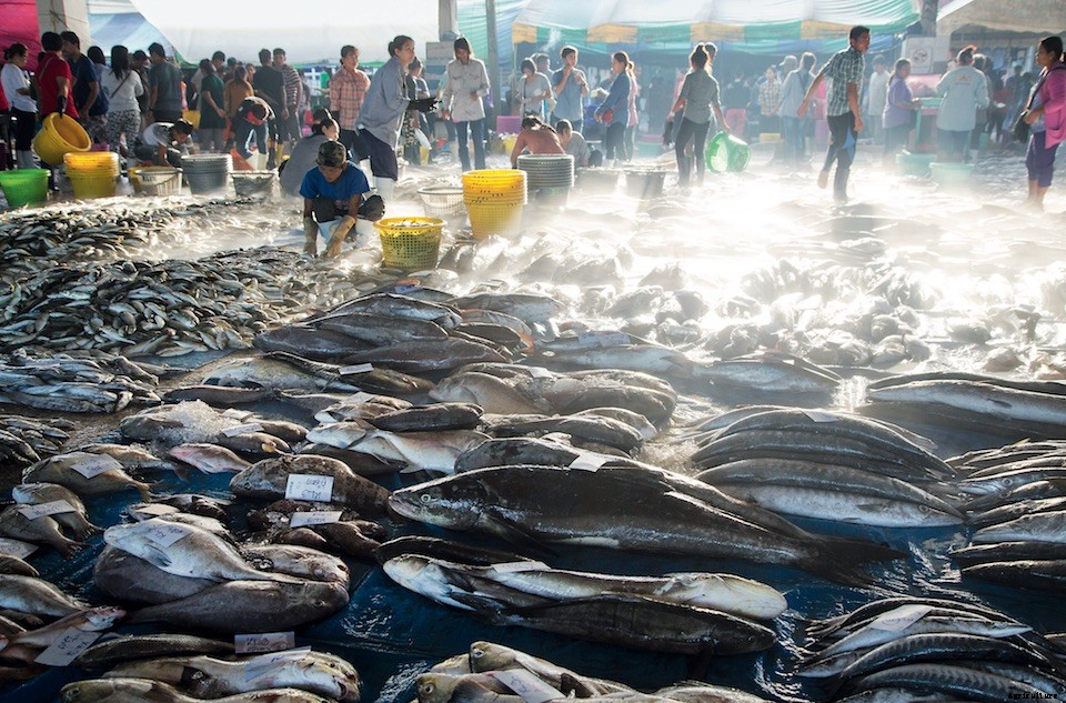 Can Satellite Surveillance Help End Slavery in the Seafood Industry?