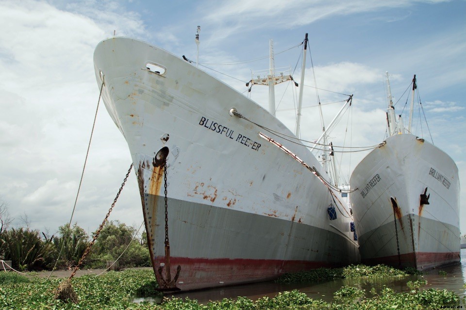 Can Satellite Surveillance Help End Slavery in the Seafood Industry?