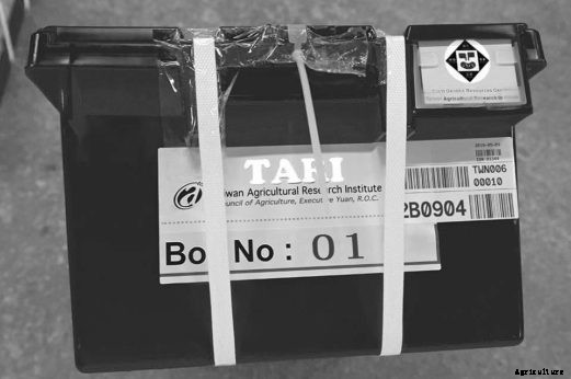 Fortress of Plenitude