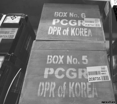 Fortress of Plenitude