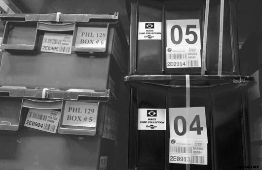 Fortress of Plenitude