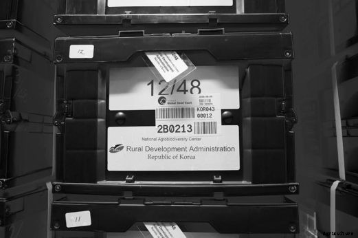 Fortress of Plenitude