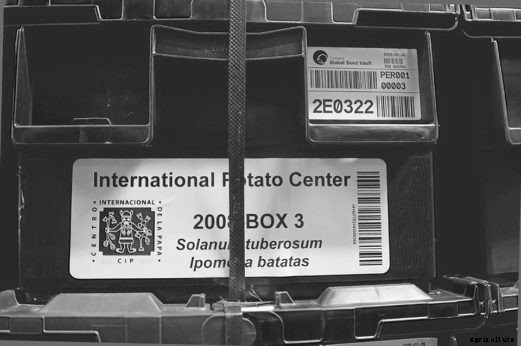 Fortress of Plenitude