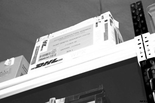 Fortress of Plenitude