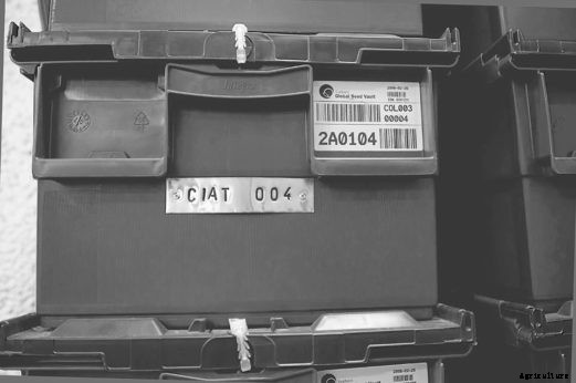 Fortress of Plenitude