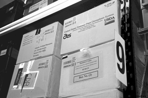 Fortress of Plenitude