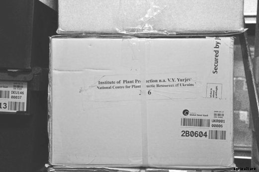 Fortress of Plenitude