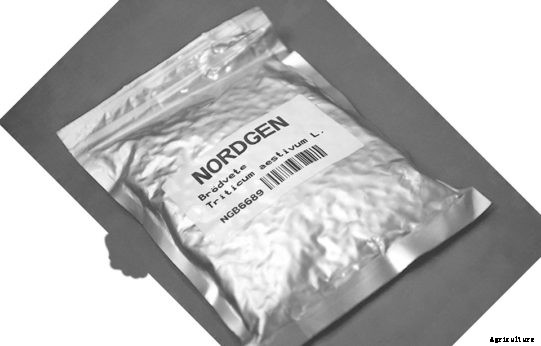 Fortress of Plenitude