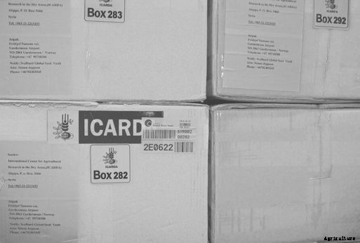 Fortress of Plenitude