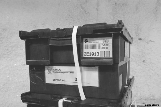 Fortress of Plenitude