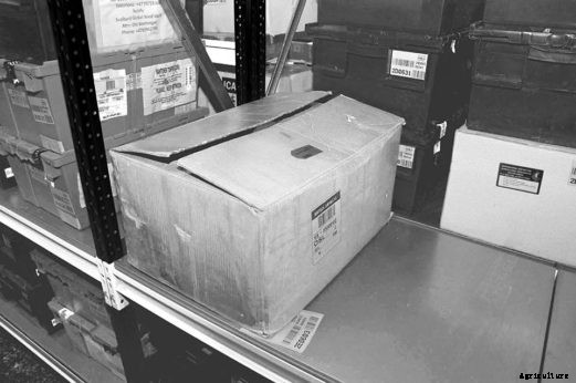 Fortress of Plenitude