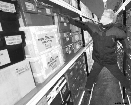 Fortress of Plenitude