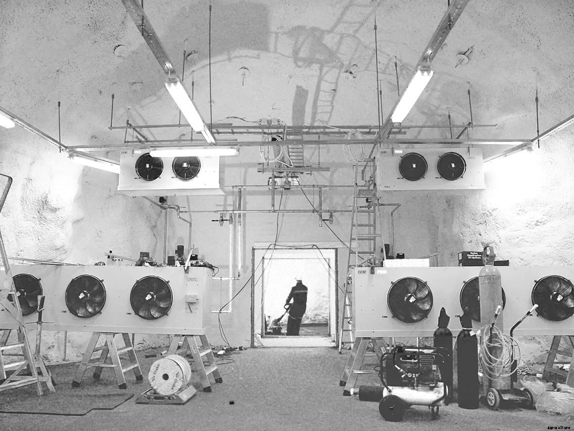 Fortress of Plenitude