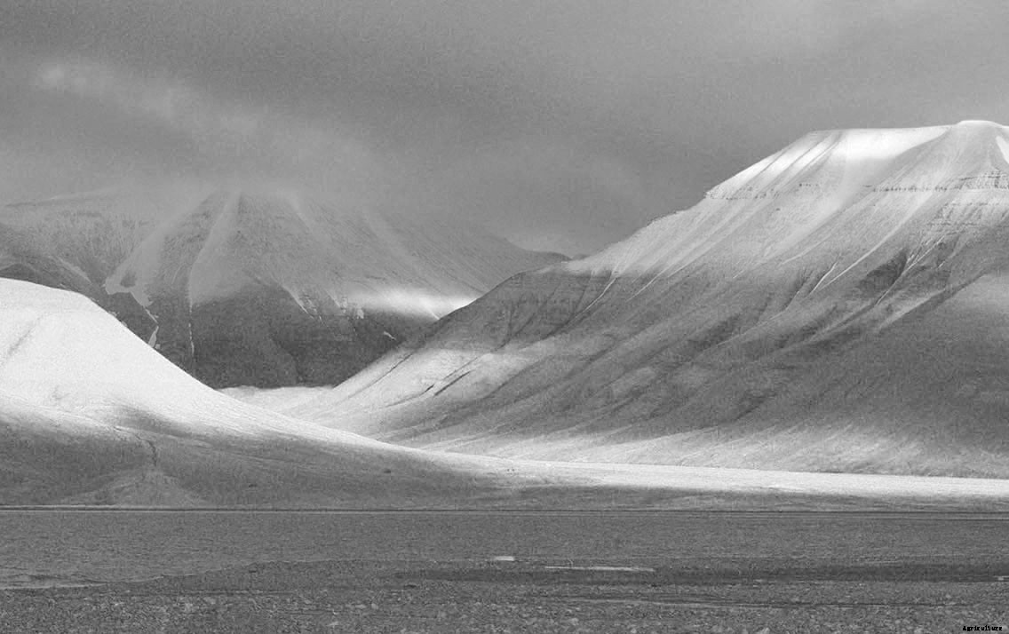 Fortress of Plenitude