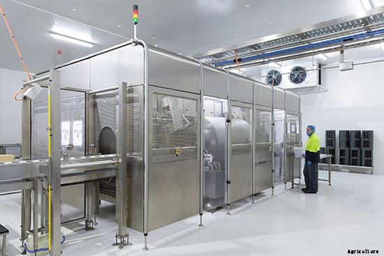 Milking a Legal Loophole to Get (Nearly) Raw Milk to the Masses