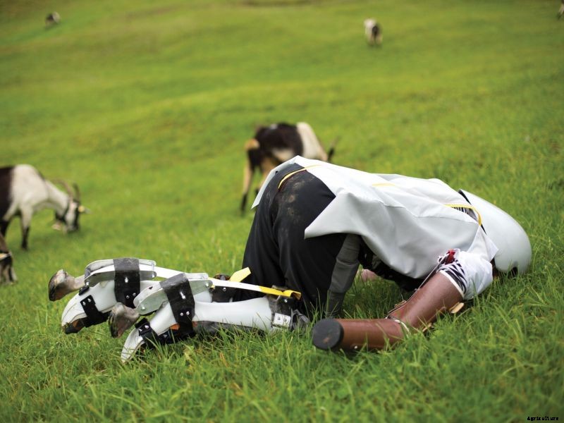 Genius Lunatic Somehow Gets Funding to Live Like a Goat