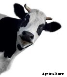 5 Hyper-Specific Agriculture Apps We Love