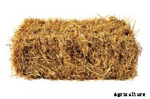 5 Hyper-Specific Agriculture Apps We Love