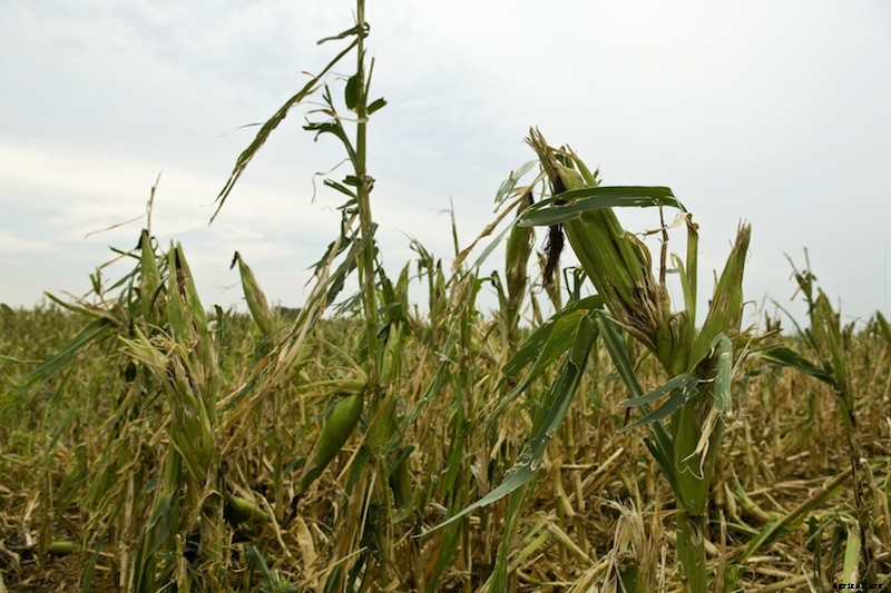 3 Futuristic Farm Bots (and 3 We’d Like to See)