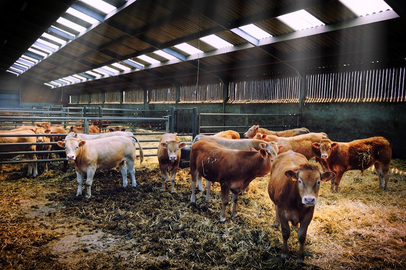 3 Futuristic Farm Bots (and 3 We’d Like to See)