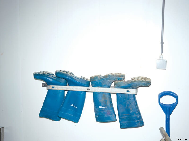 The Abstinence Method