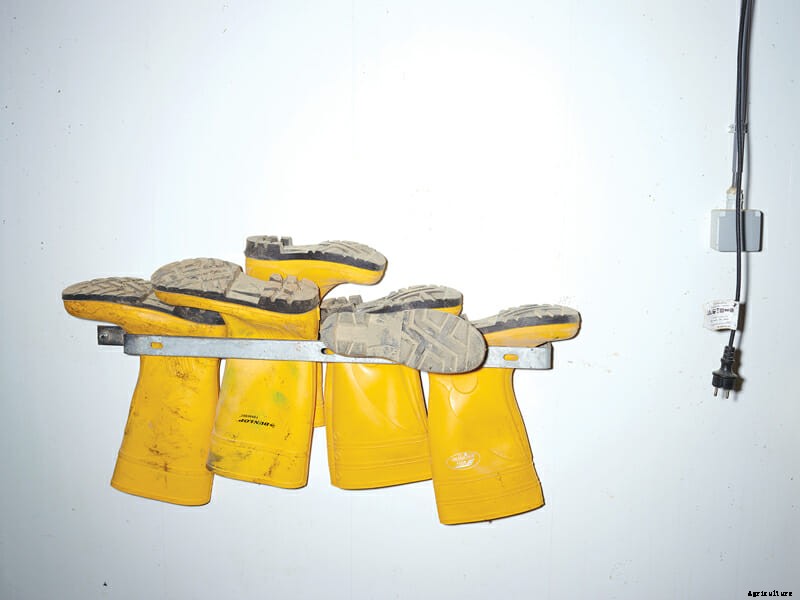 The Abstinence Method