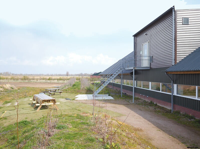 The Abstinence Method