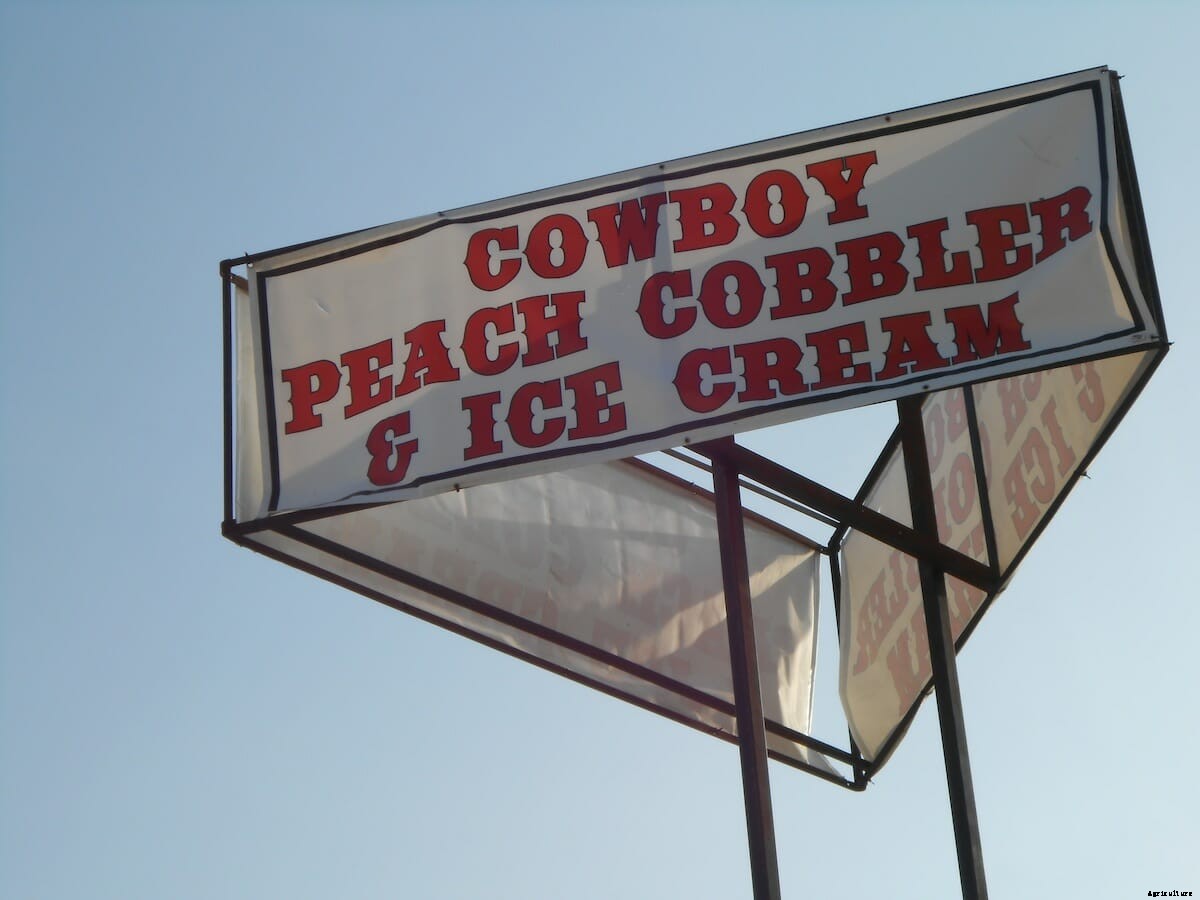 Bonnets, Drones and Tri-Tip: 6 Scenes from the World Ag Expo