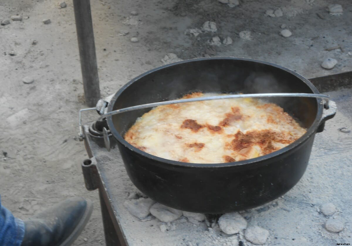 Bonnets, Drones and Tri-Tip: 6 Scenes from the World Ag Expo