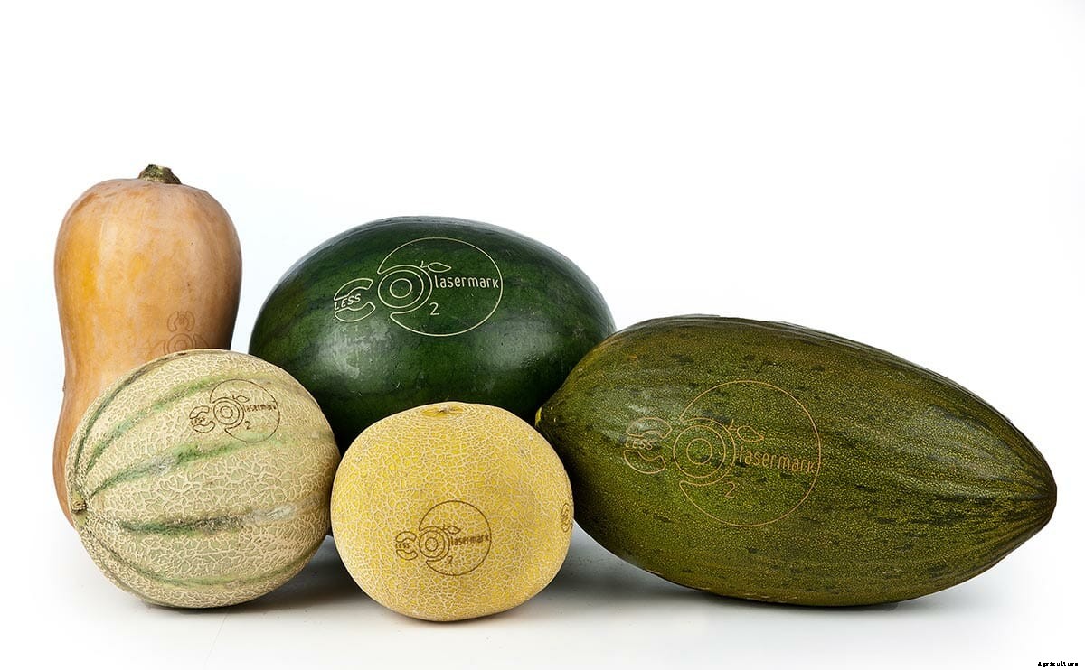 Could Laser Tattoos Replace Sticky Fruit Labels?